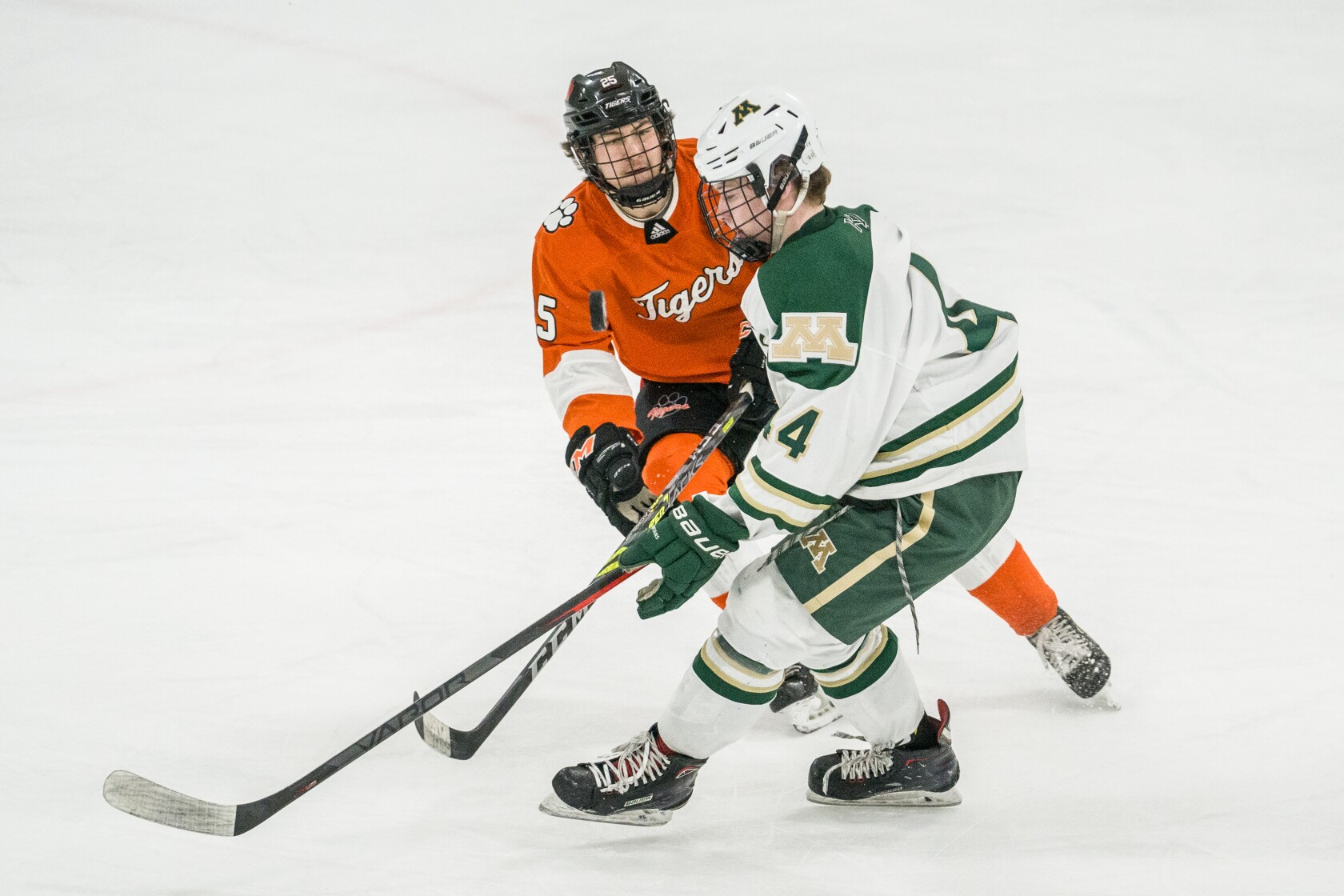2023-24 local high school boys hockey teams at a glance - Post Bulletin ...