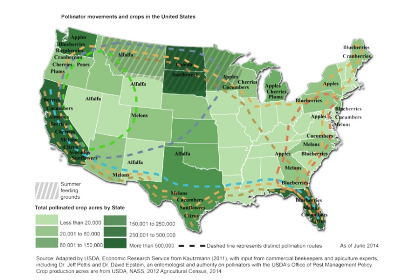 011120.O.PRE.BeeMigrationMap.jpg