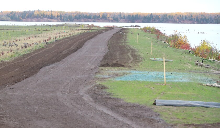 New trail.