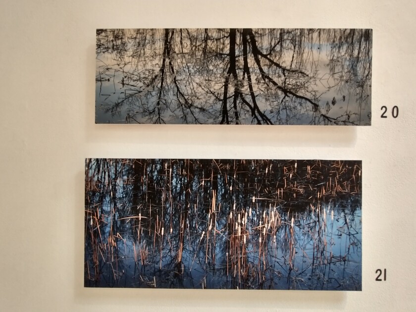 Leaf River 2