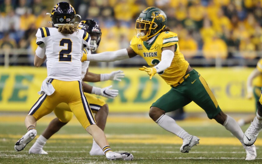 121121.S.FF.Bison.Cox.jpg