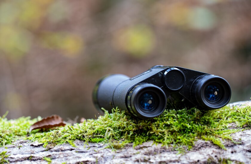 binoculars-5724502_1920.jpg