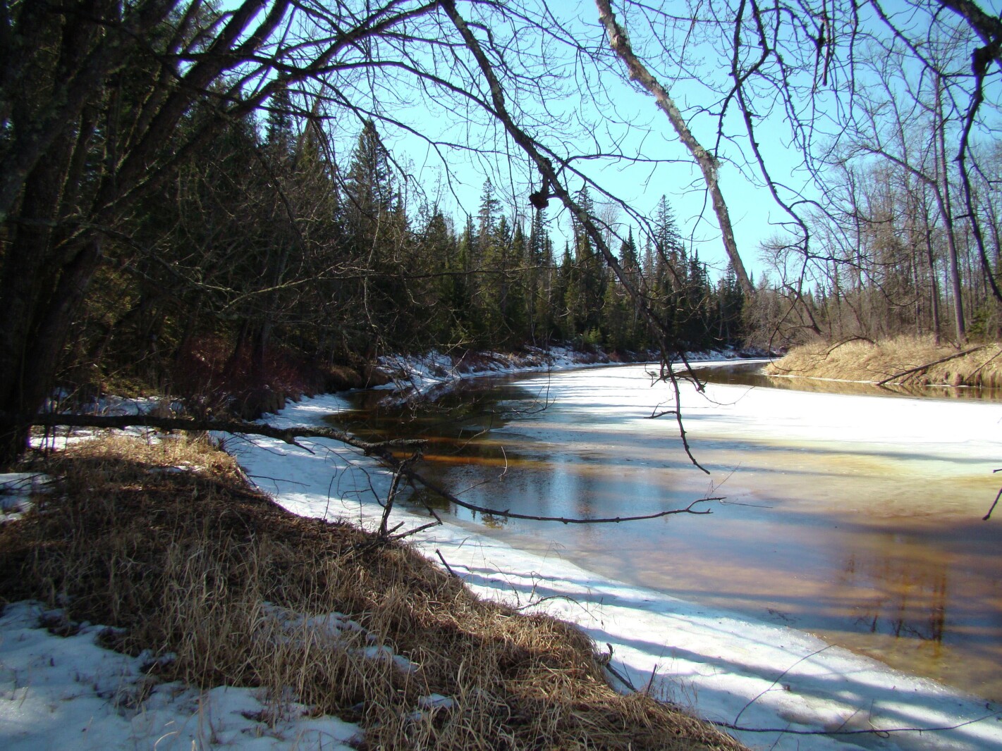 Signs of spring appear in northern Minnesota - Grand Forks Herald ...