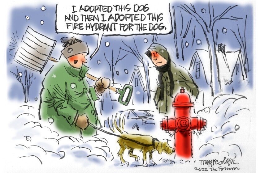012022.O.FF.OLSONCARTOON