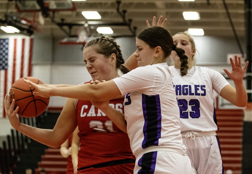 Basketball roundup: Willmar Cardinals fall to New Ulm Eagles - West ...