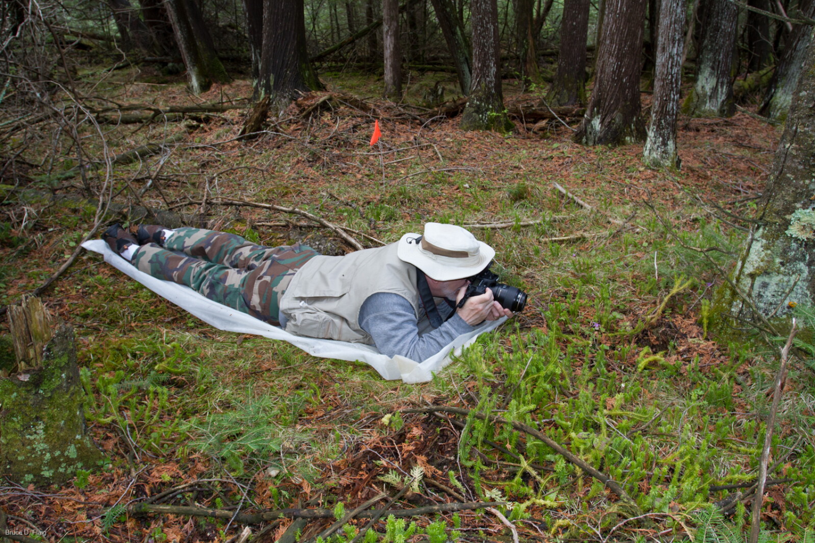 Northwest Minnesota offers many places to view wildlife this spring