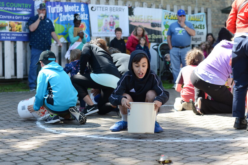Perham Turtle Races Turtle Fest delights once again - Perham Focus | News, weather, sports ...