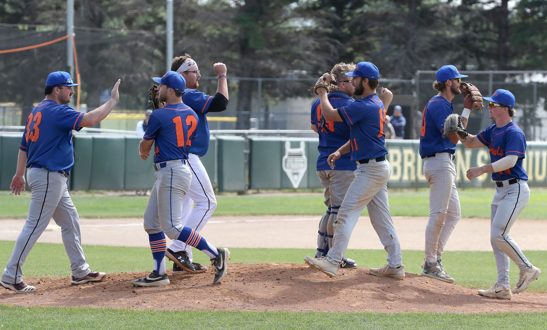 Jamestown Hounds beat Merchants 10-5 in AAA state title game thumbnail