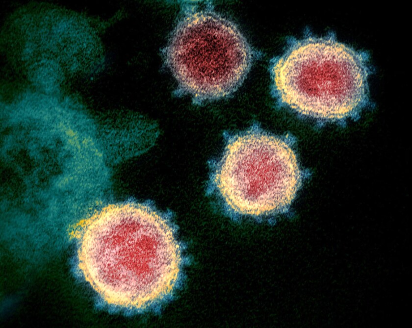 Coronavirus