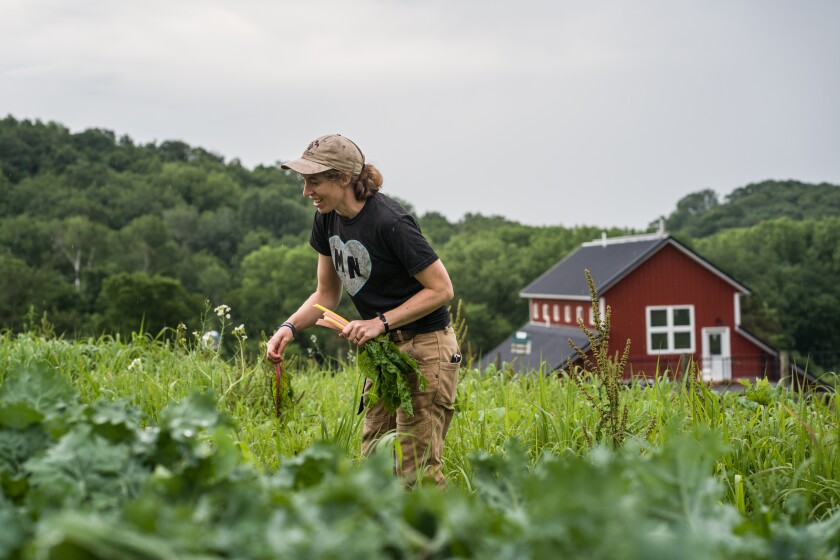 Bluff Valley Farm