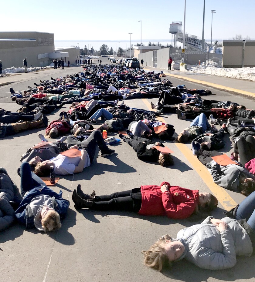 Duluth-News-Tribune-March-2018-picture-4072363.jpg