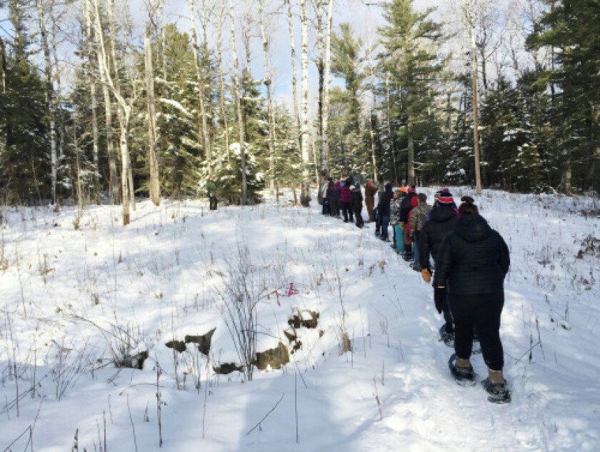 2247430+snowshoeJCP2_500px.jpg