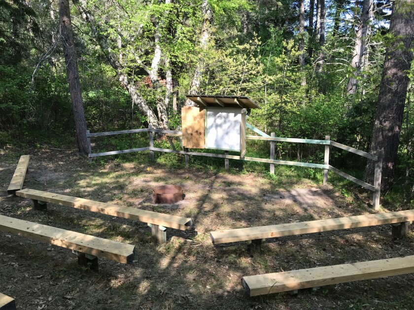 Forest2.jpg