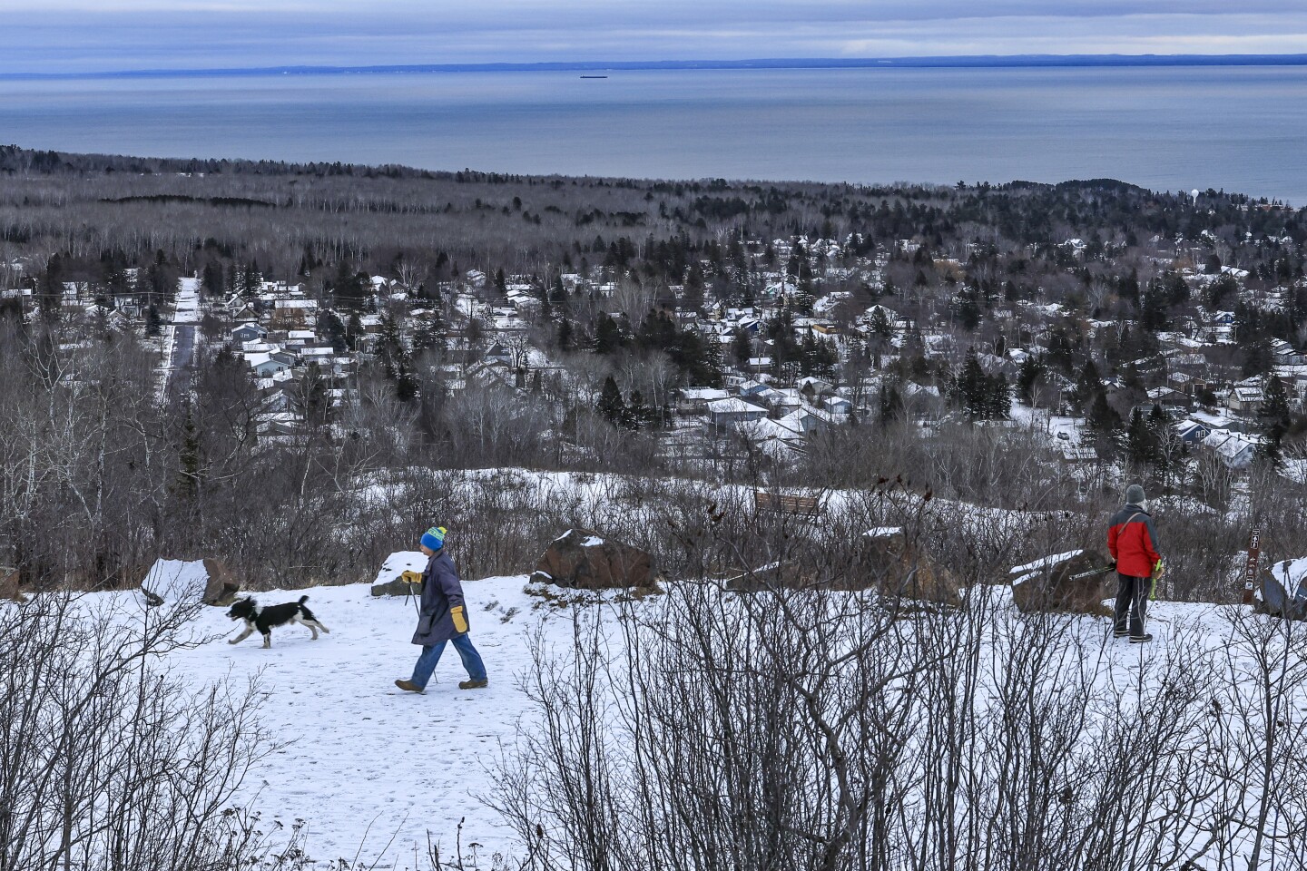 Photos: People and dogs enjoy a day at Duluth's Hawk Ridge - Duluth ...