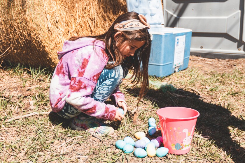 HelpingHorsepowerEasterEggHunt-23.jpg