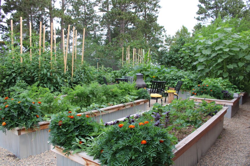 GardenStroll22.PRE.CwiakRaisedBeds.jpg