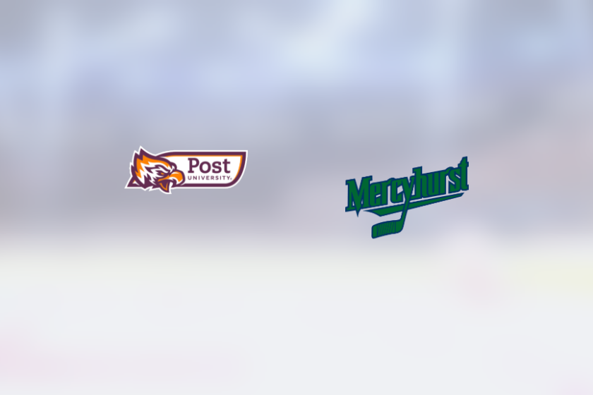 img_500213867_rinklive.png