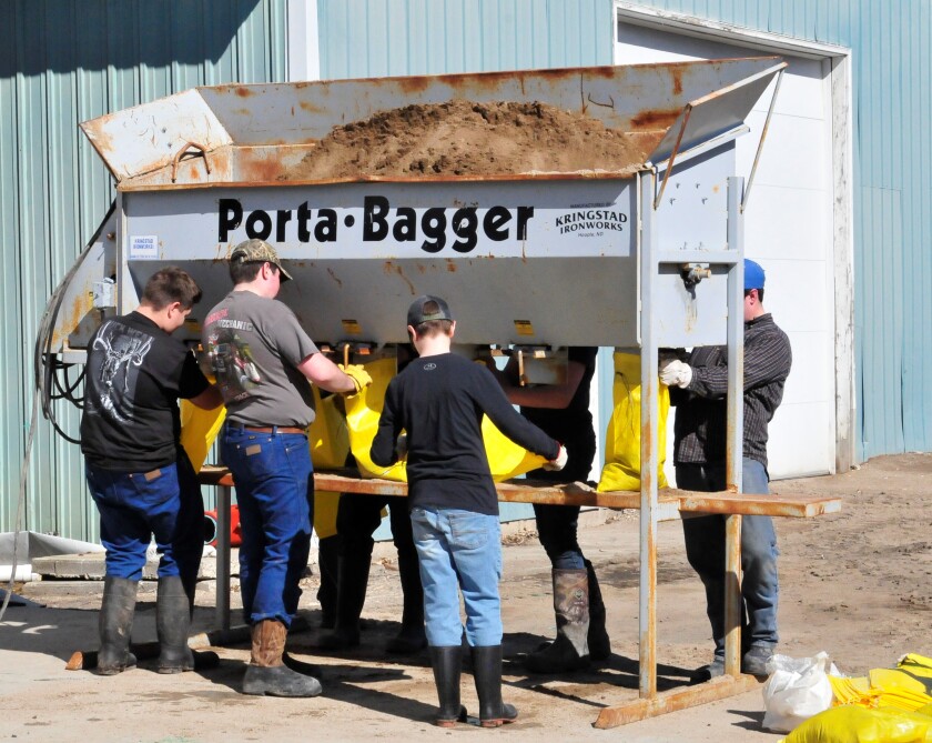 Boys from rural Pembina fill sandbags for use at their home. (Photo by Anna Jauhola)