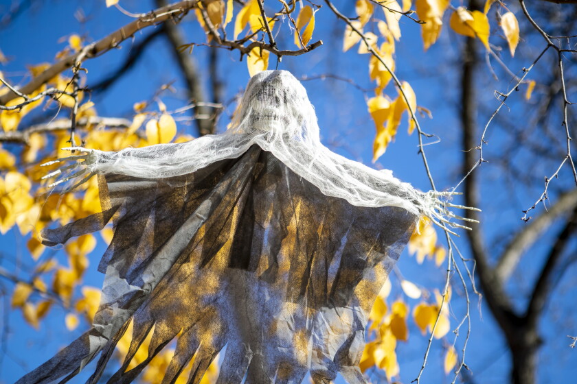 Halloween home decor 102522. 002.jpg
