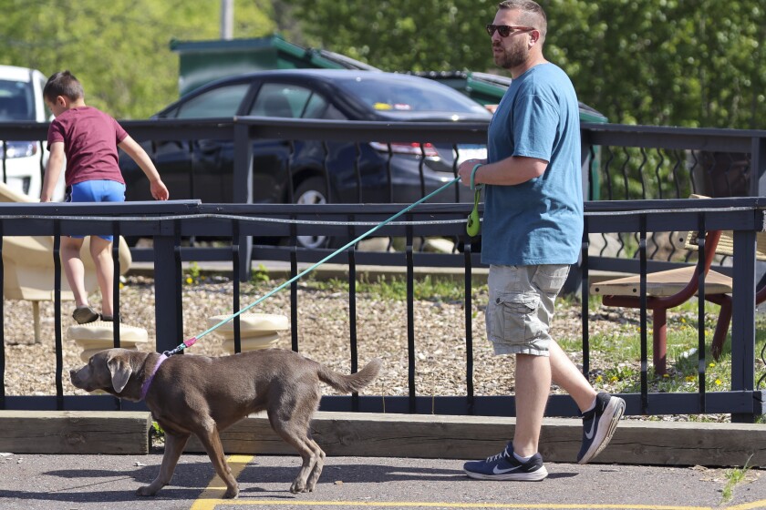 Dog outside being walked by human