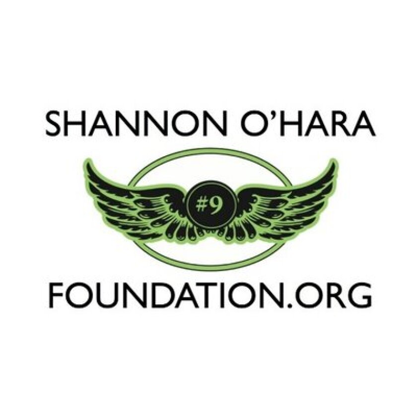 Shannon Foundation.jpeg