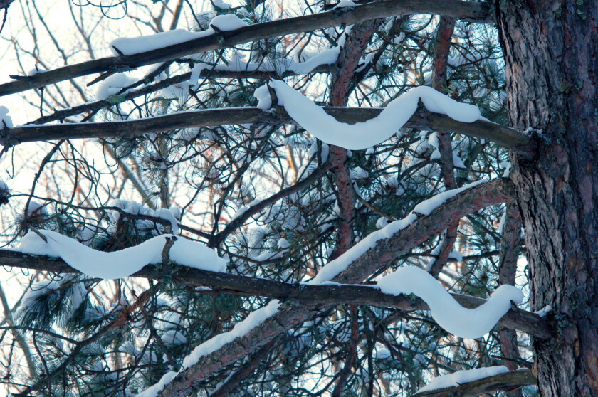 Rime Rope Northland Nature: February brings rime, rope - Cloquet Pine Journal ...
