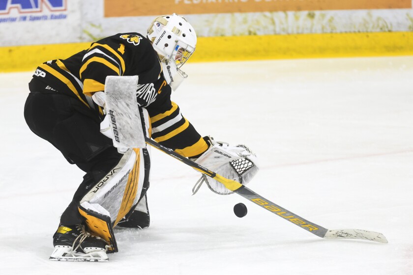 high school boys play hockey
