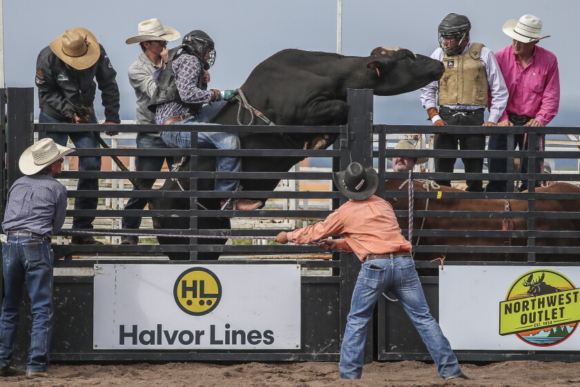 Classic Rodeo Events Community Calendar: Great Northern Classic Rodeo and more - Superior ...