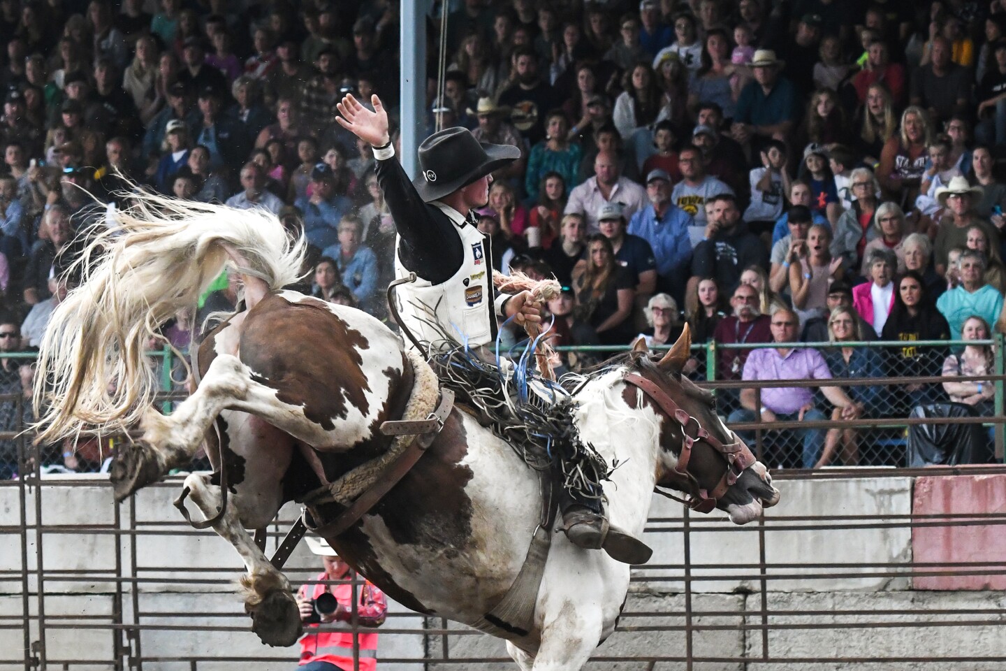 Wojo's Rodeo draws hundreds to Beltrami County Fair - The Bemidji ...