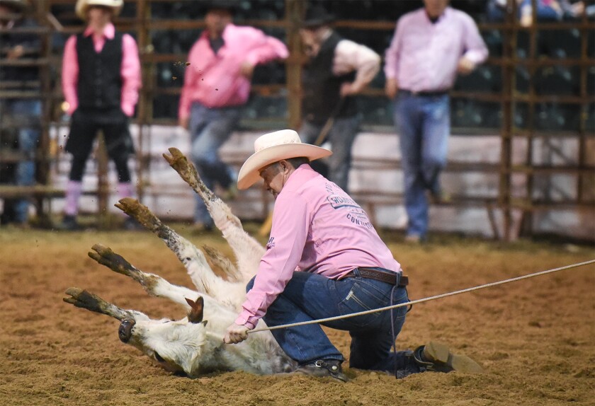 102018.n.bp.rodeo2.jpg