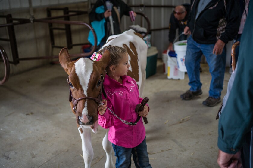 Mower County Fair