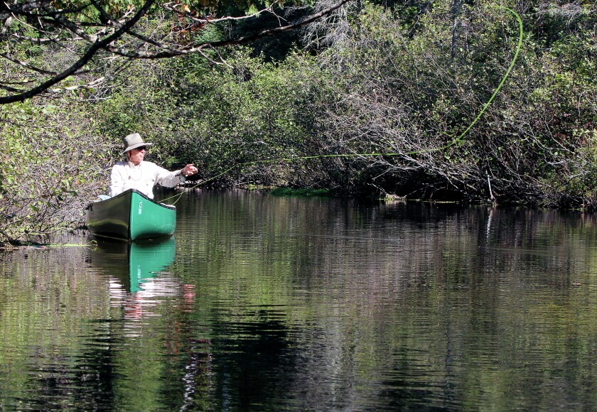 t09.22.2015 -- Sam Cook -- cookBRULE0927c1 -- David Zentner of Duluth casts a fly for brook trout or brown trout on Tuesday while fishing on Wisconsin's Brule River. Zentner had caught three trout -- two browns and a brook trout -- earlier in the day.