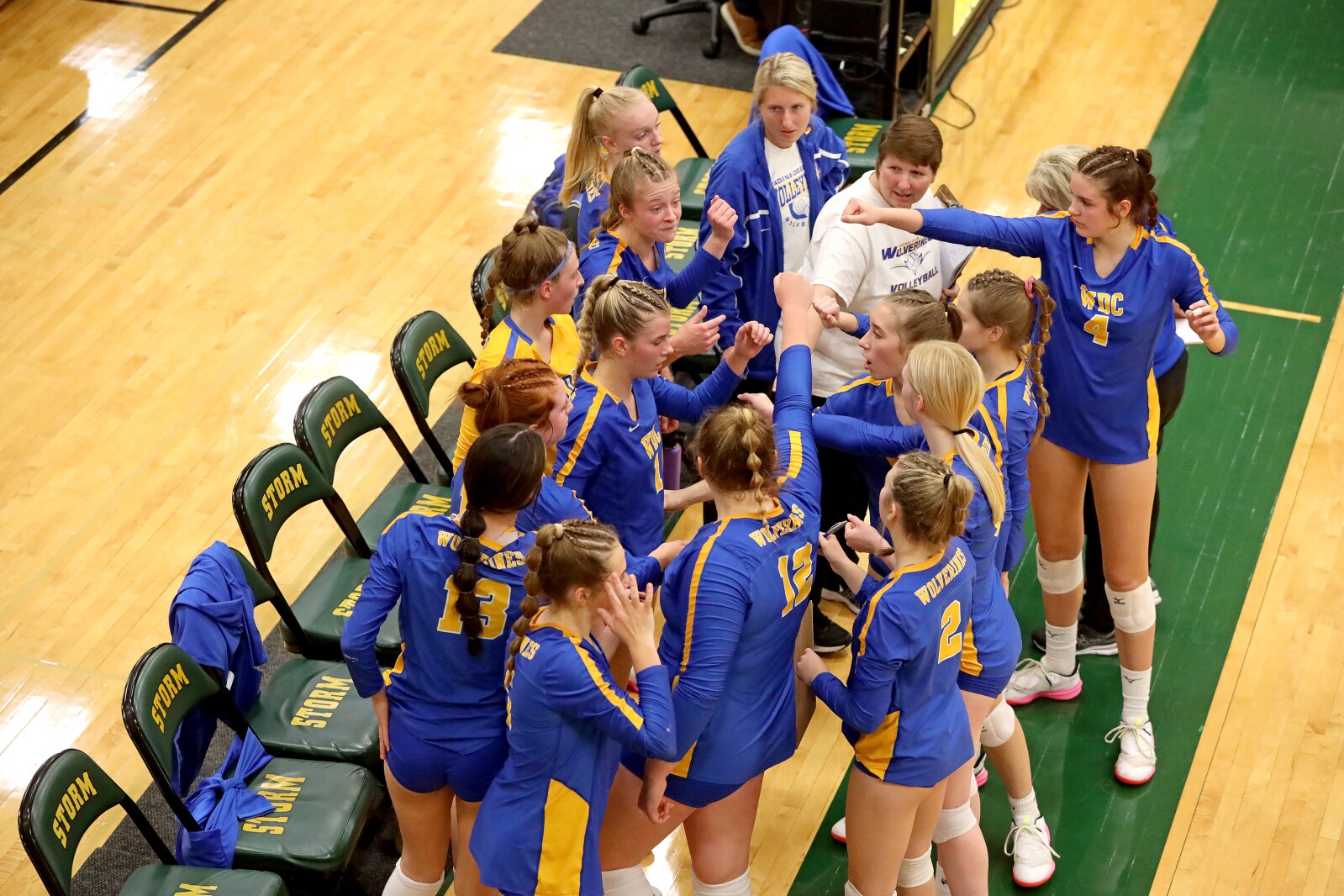Pequot Lakes vs Wadena-Deer Creek Volleyball on Thursday, Nov. 3, 2022, in Sauk Rapids.
