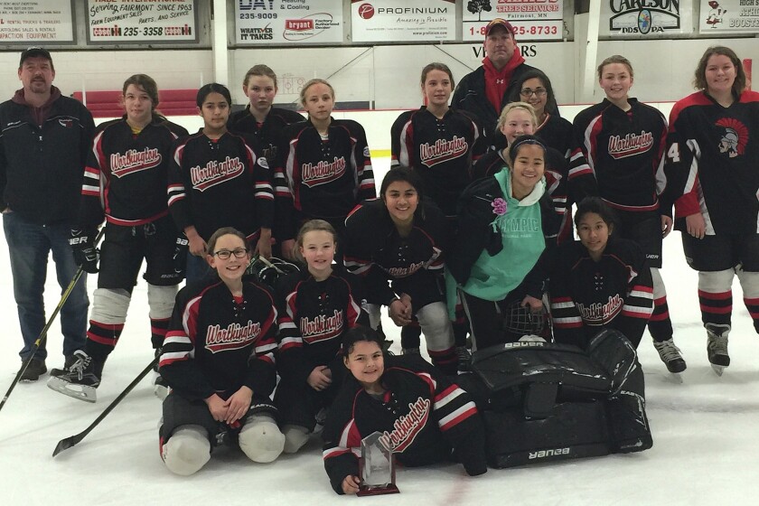 2332897+Girls Hockey RGB.jpg