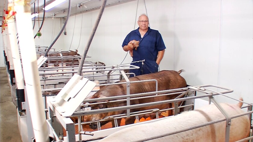 011022.AG.CompartPork06.jpg