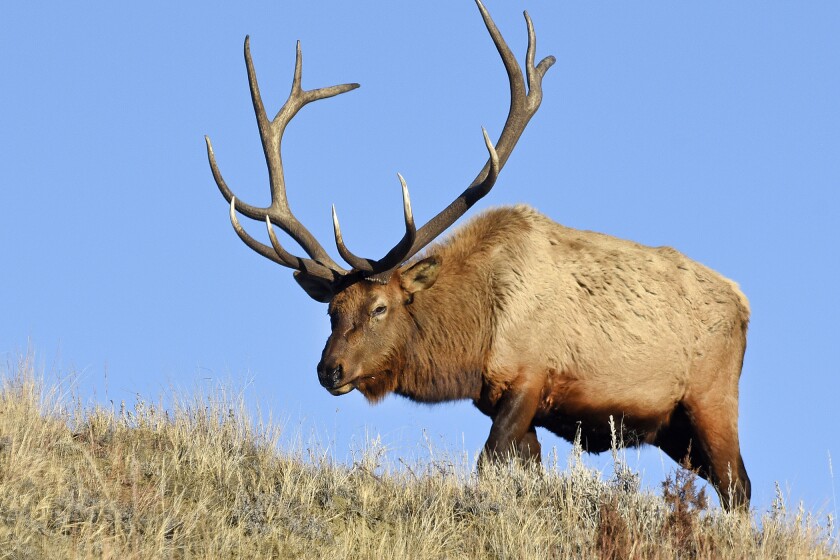 Beautiful view of Us Export License Review