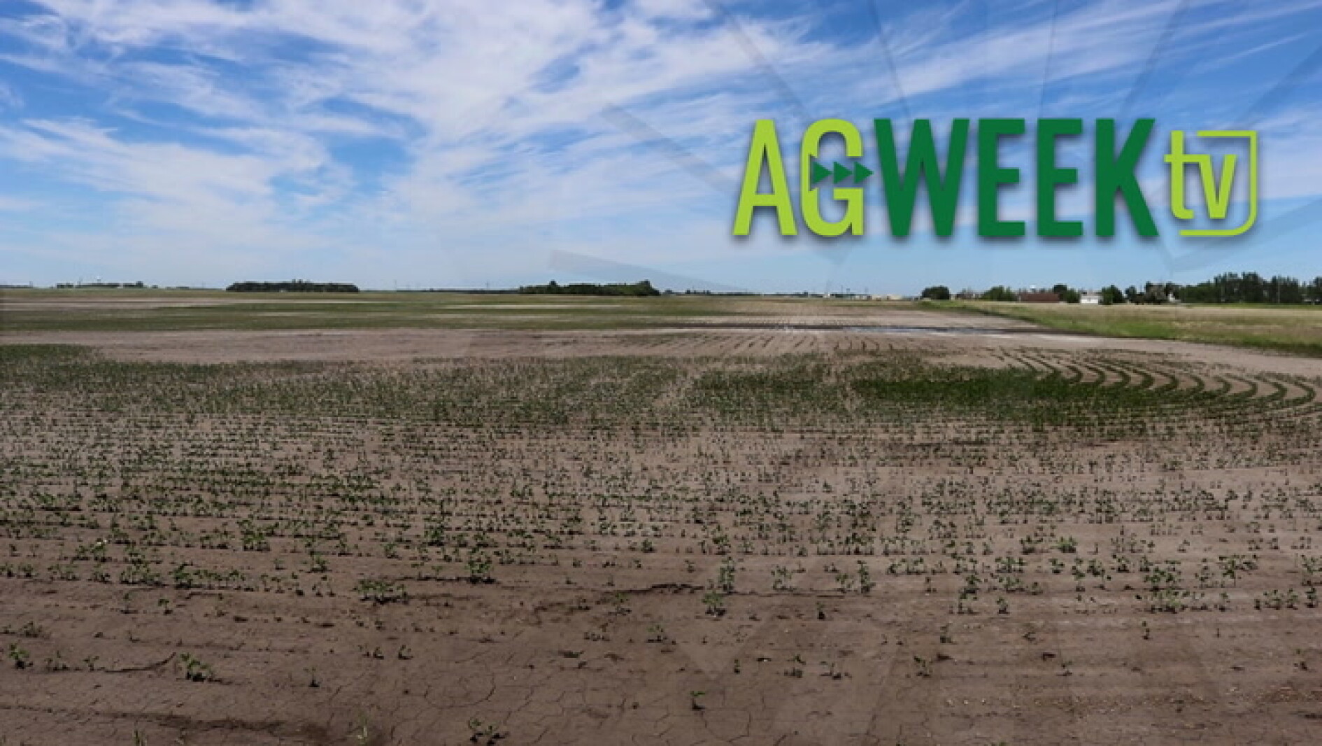 AgweekTV Full Show Weather Extremes WOTUS Meat Packing Business A 
