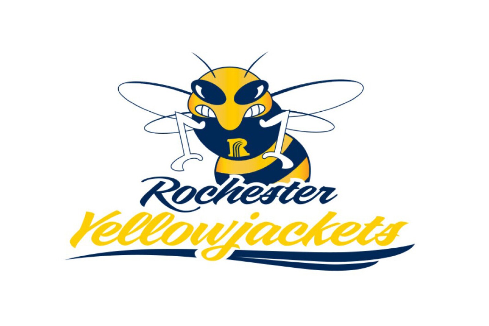 Rochester University Men's Basketball, Rochester Hills MI