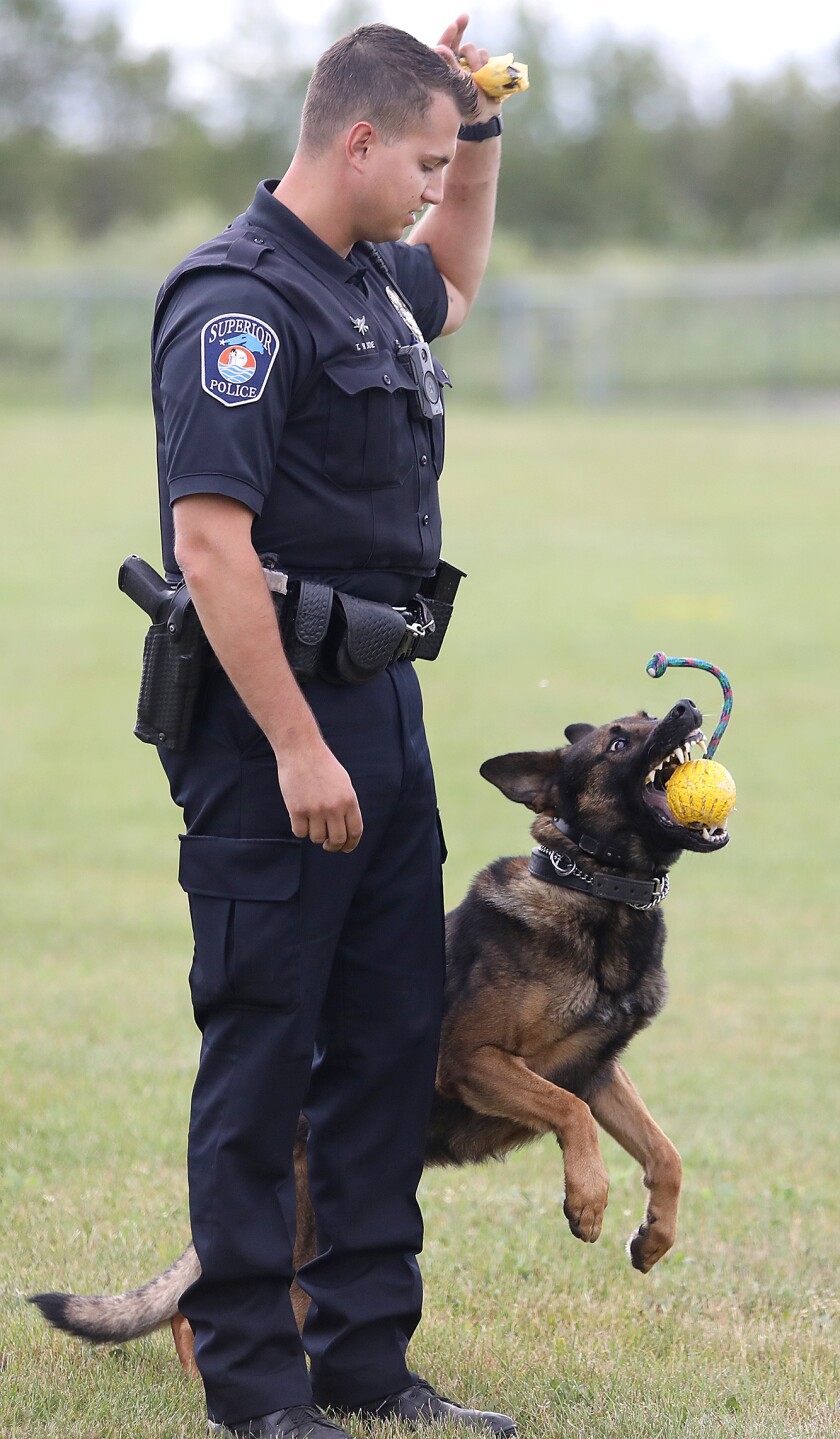 Superior K9 Officer Tyler Rude drops a ball for his K9, Radik, to catch