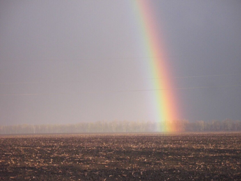 Black, deep topsoil in Ukraine is appointed by the end of a rainbow.