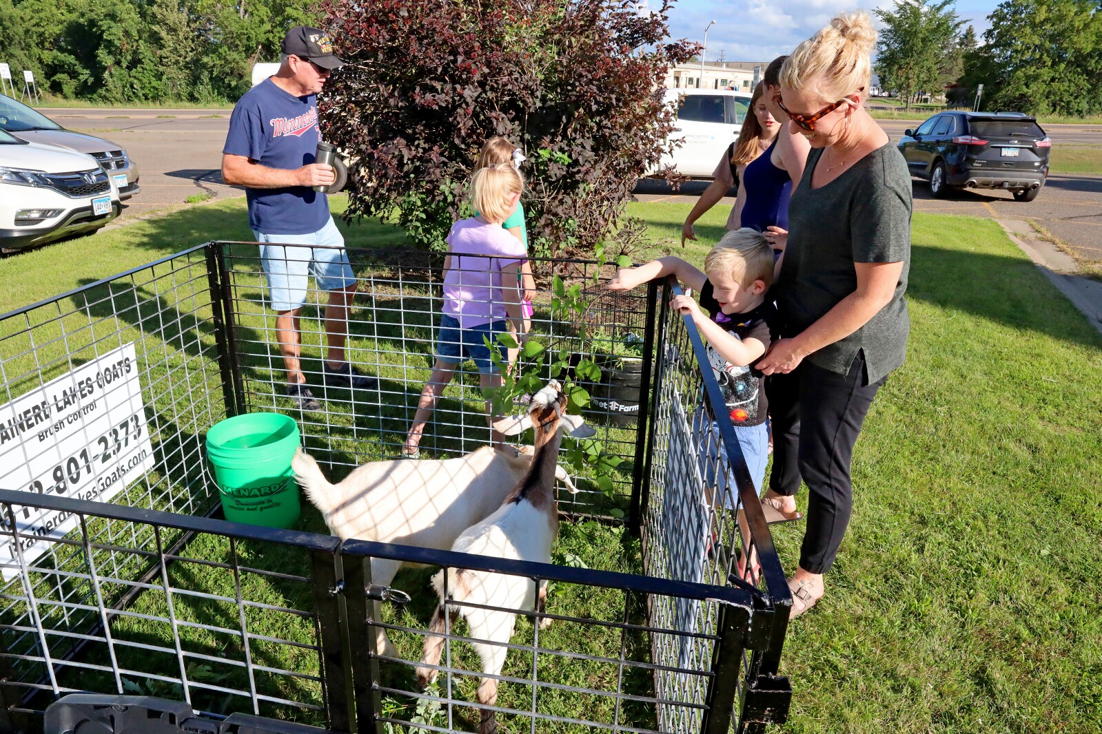 Goats at Bethlehem Evangelical Lutheran Church