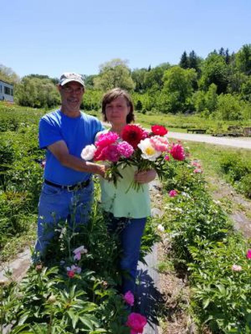 Birgitte and Harvey Buchite, Contritbuted.jpg