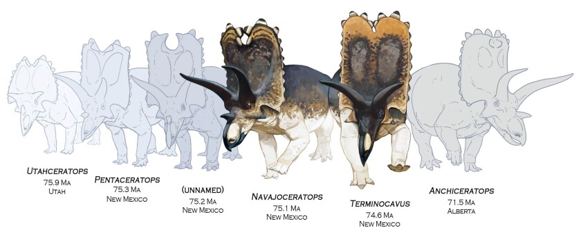 newceratopsids_final-labeledsm.jpg