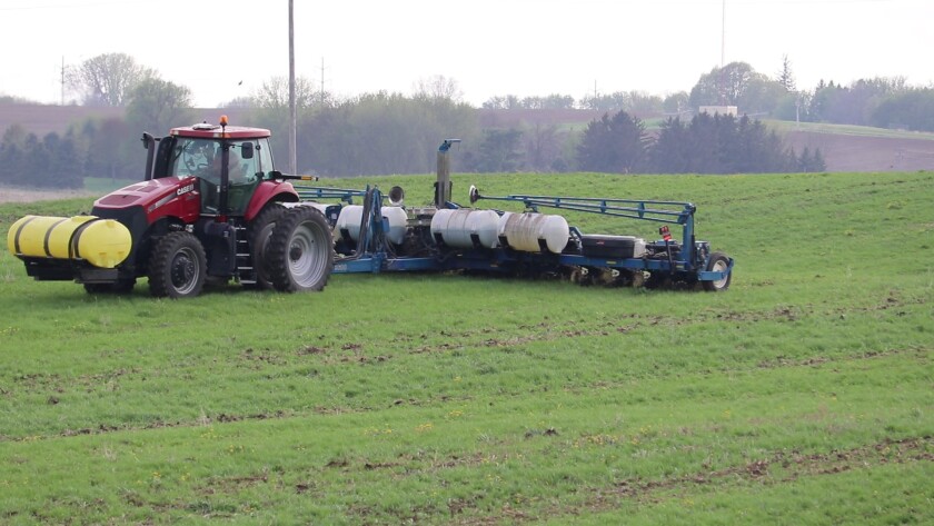 Pyfferoen planting.jpg