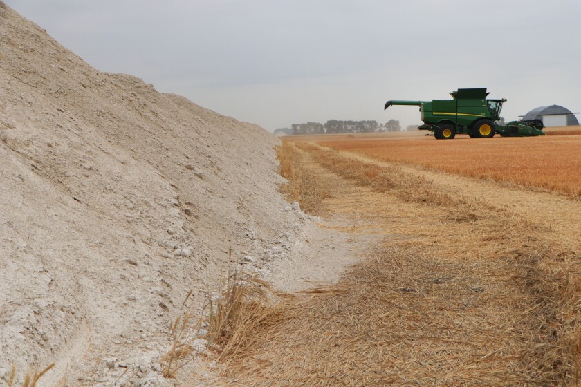 150YearsOfWheat10.jpg