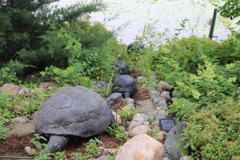 GardenStroll22.PRE.CwiakTurtles.jpg