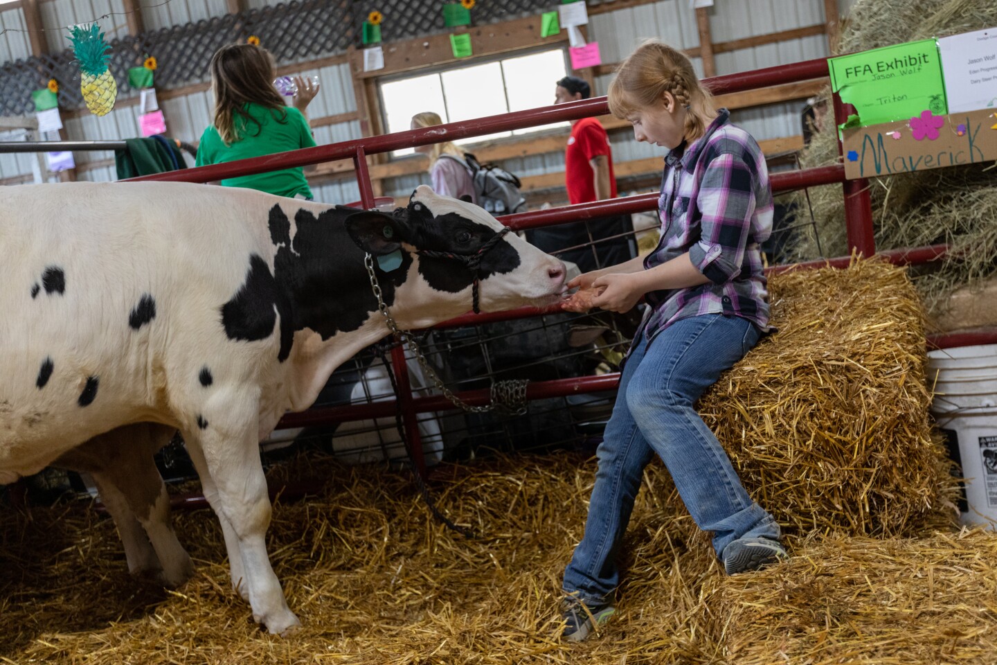 Photos Dodge County Fair On July 14 2023 Post Bulletin Rochester photos-dodge-county-fair-on-july-14-2023-post-bulletin-rochester