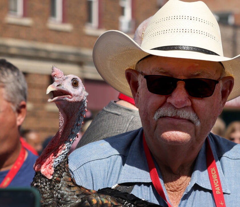 GALLERY: King Turkey Day 2022 features turkey racing, a parade and more ...
