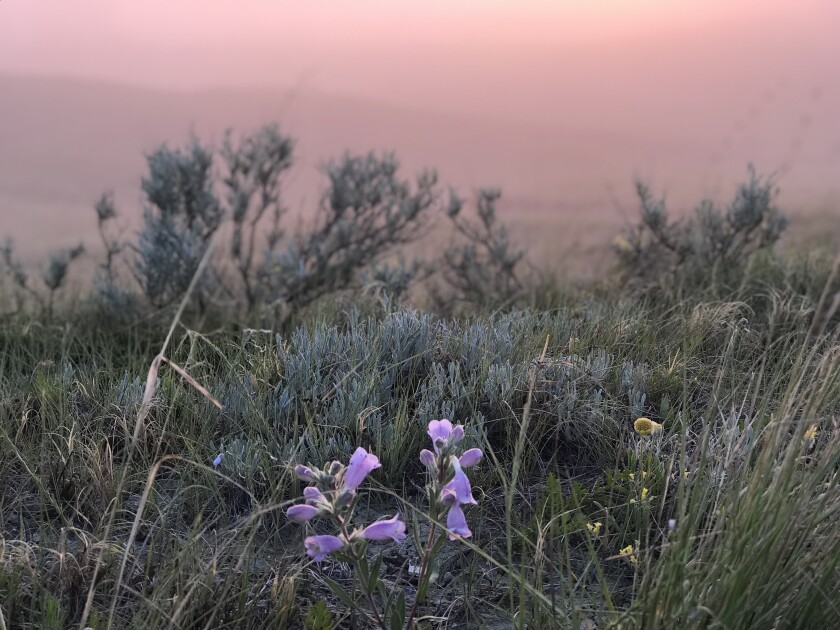 Greg Lardy Photo 4.jpg