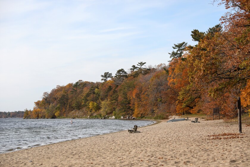 Lake Bemidji State Park fall beach.jpg
